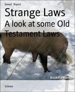 Strange Laws (eBook, ePUB) - Bryant, Daniel