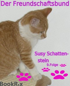 Der Freundschaftsbund (eBook, ePUB) - Schattenstein, Susy