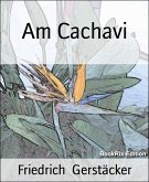 Am Cachavi (eBook, ePUB)