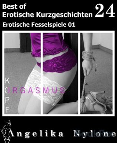 Erotische Kurzgeschichten - Best of 24 (eBook, ePUB) - Nylone, Angelika