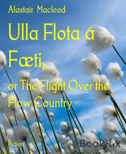 Ulla Flota á Fæti, (eBook, ePUB) Ulla Flota á Fæti, (eBook, ePUB)