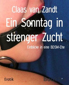 Ein Sonntag in strenger Zucht (eBook, ePUB) - van Zandt, Claas