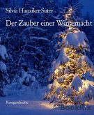 Der Zauber einer Winternacht (eBook, ePUB)