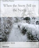 When the Snow Fell on the North (eBook, ePUB)