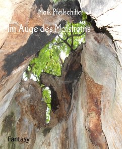 Im Auge des Malstroms (eBook, ePUB) - Pfeilschifter, Maik