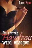 Die untreue Hausfrau wird erzogen (eBook, ePUB)