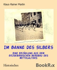 Im Banne des Silbers (eBook, ePUB) - Martin, Klaus-Rainer