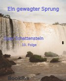 Ein gewagter Sprung (eBook, ePUB)