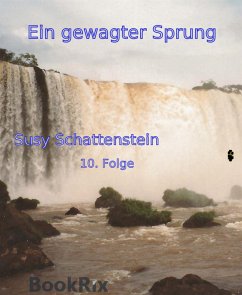 Ein gewagter Sprung (eBook, ePUB) - Schattenstein, Susy