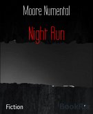 Night Run (eBook, ePUB)