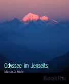 Odyssee im Jenseits (eBook, ePUB)
