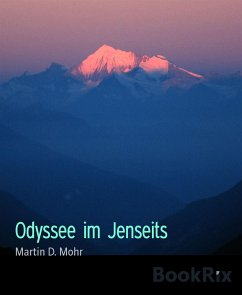 Odyssee im Jenseits (eBook, ePUB) - Mohr, Martin D.