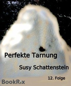 Perfekte Tarnung (eBook, ePUB) - Schattenstein, Susy