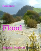 Flood (eBook, ePUB)