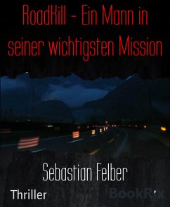 RoadKill - Ein Mann in seiner wichtigsten Mission (eBook, ePUB) - Felber, Sebastian