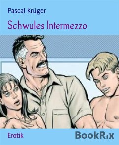 Schwules Intermezzo (eBook, ePUB) - Krüger, Pascal