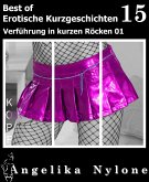 Erotische Kurzgeschichten - Best of 15 (eBook, ePUB)