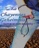 Chayennes Geheimnis (eBook, ePUB)
