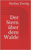 Der Stern über dem Walde (eBook, ePUB)