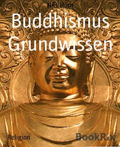 Buddhismus Grundwissen (eBook, ePUB) - Horn, Nils