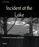 Incident at the Lake (eBook, ePUB)