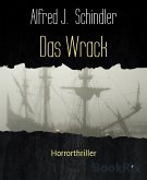 Das Wrack (eBook, ePUB)