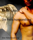 Die Fetischumwandlung (eBook, ePUB)