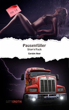 Pausenfüller: Stop'n' Fuck (eBook, ePUB) - Heat, Carolyn