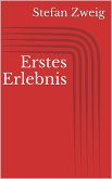 Erstes Erlebnis (eBook, ePUB)