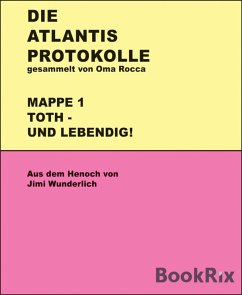 Cover Atlantis-Protokolle (eBook, ePUB)