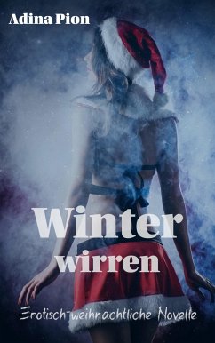 Winterwirren (eBook, ePUB) - Pion, Adina