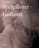 Stadtpflaster - Lustlaster (eBook, ePUB)