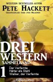 Drei Western - Sammelband 1 (eBook, ePUB)