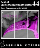 Erotische Kurzgeschichten - Best of 44 (eBook, ePUB)
