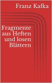 Fragmente aus Heften und losen Blättern (eBook, ePUB)