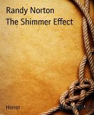 The Shimmer Effect (eBook, ePUB)