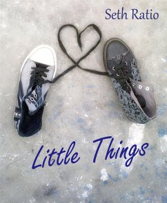 Cover Little Things (eBook, ePUB)