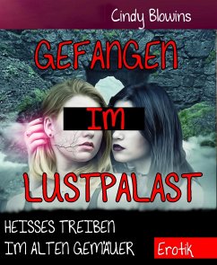 Gefangen im Lustpalast (eBook, ePUB) - Blowins, Cindy