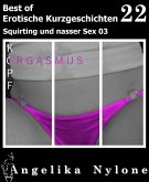 Erotische Kurzgeschichten - Best of 22 (eBook, ePUB)