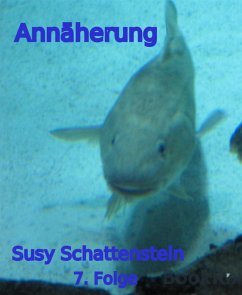 Annäherung (eBook, ePUB) - Schattenstein, Susy