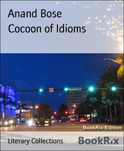 Cocoon of Idioms (eBook, ePUB) - Bose, Anand