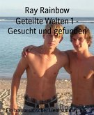 Geteilte Welten 1 - Gesucht und gefunden (eBook, ePUB)