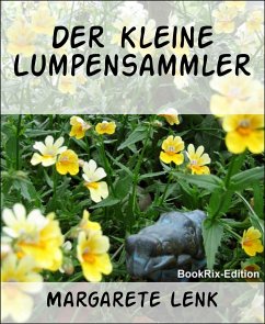 Der kleine Lumpensammler (eBook, ePUB) - Lenk, Margarete