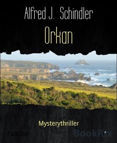 Orkan (eBook, ePUB) - J. Schindler, Alfred