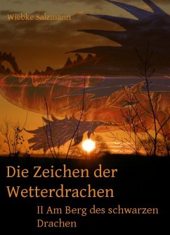 Die Zeichen der Wetterdrachen (eBook, ePUB) - Salzmann, Wiebke