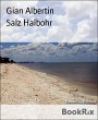 Salz Halbohr (eBook, ePUB) - Bild 1