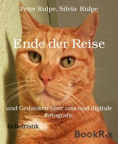 Ende der Reise (eBook, ePUB) - Kulpe, Peter; Kulpe, Silvia