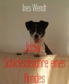 Jacky Schicksalsjahre eines Hundes (eBook, ePUB)