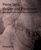 Illusion und Paradoxon (eBook, ePUB)