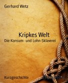 Kripkes Welt (eBook, ePUB)